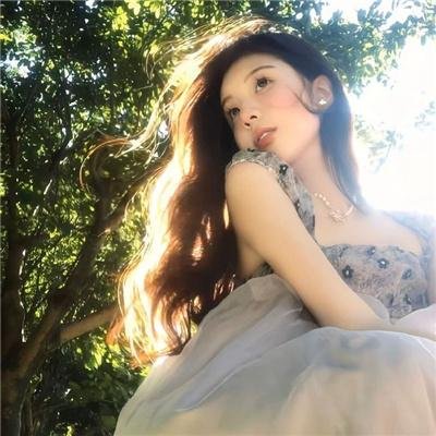 盗贼生涯